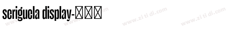 seriguela display字体转换
